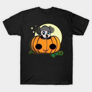 Cute Pumpkin Puppy for Halloween T-Shirt